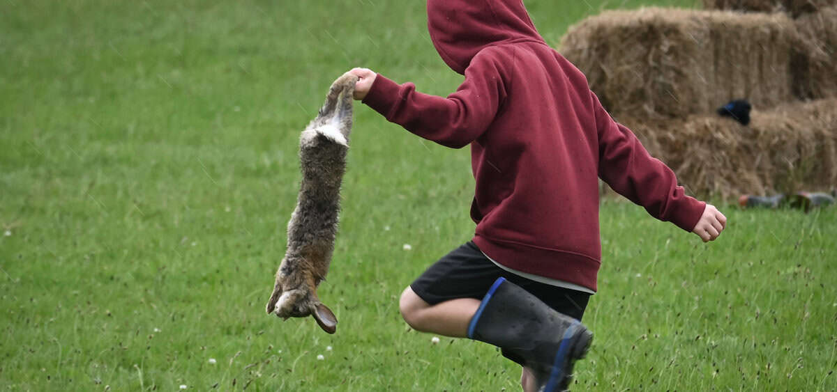 Featured image for “Help Us Ban Violent Children’s Hunting in Aotearoa New Zealand”