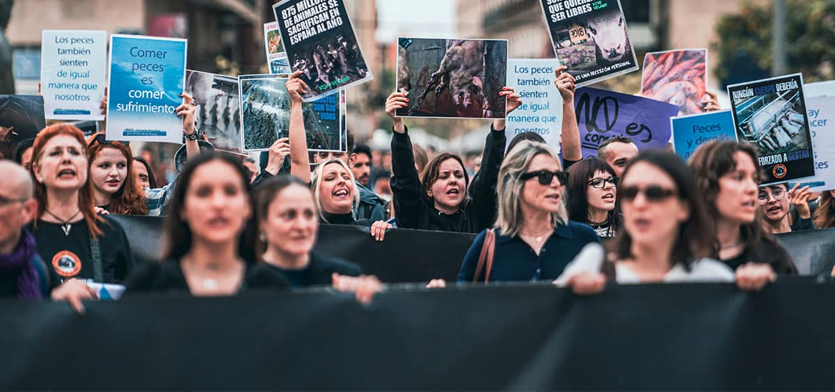 Featured image for “Joining Forces for the Animals: A Historic Milestone for Animal Activism in Spain”